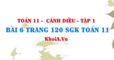 Bài 6 trang 120 SGK Toán 11 tập 1 Cánh Diều